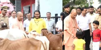 गोरखपुर: CM योगी गोशाला में की सेवा, बच्चों पर खूब लुटाया प्यार, आशीर्वाद के साथ दी चॉकलेट