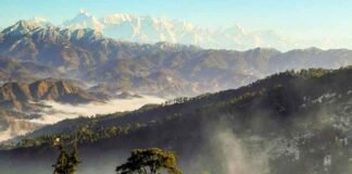 OPINION: देवभूमि को आखिर कौन कर रहा है बरबाद ?