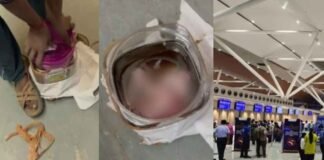 लखनऊ: कूरियर से भेजा जा रहा था नवजात का शव, एयरपोर्ट स्टाफ ने पकड़ा, हड़कम्प