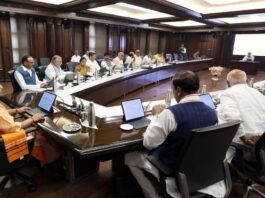 YOGI CABINET MEETING