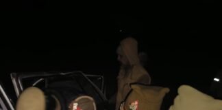 बस्ती में भीषण सड़क हादसे में कार सवार दो भाई समेत चार लोगों की मौत, गोंडा जनपद जा रहे थे सभी कार सवार