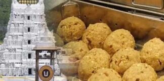 तिरुपति लड्डू घी घोटाले में SIT की बड़ी कार्रवाई, चार आरोपी गिरफ्तार