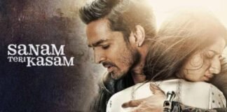 Re-Release Sanam Teri Kasam: बॉक्स ऑफिस पर 9 सालों बाद छाया ‘सनम तेरी कसम’ का जादू, री-रिलीज के बाद हुई दमदार कमाई