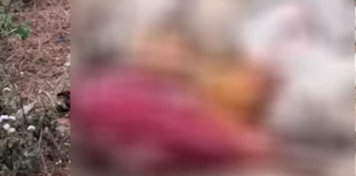 पोते ने दादा-दादी और दादा के बड़े भाई की फावड़े से निर्मम हत्या की, इलाके में मची सनसनी