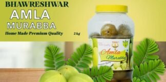 Amla Murabba Benefits: इम्यूनिटी से लेकर स्किन तक, आंवले का मुरब्बा खाने से होंगे ये जबरदस्त फायदे Amla Murabba