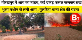 करमहां में भूसा मशीन से लगी आग ने मचाई तबाही, कई गांवों की फसल जलकर राख