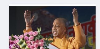 UP: उत्तर प्रदेश में सेतु निर्माण ने पकड़ी रफ्तार, योगी सरकार ने एक साल में पूरे किए 76 प्रोजेक्ट