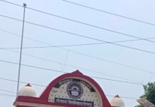 डीडीयू गोरखपुर विश्वविद्यालय के मैनेजमेंट विभाग के 141 छात्रों का समर इंटर्नशिप हेतु चयन