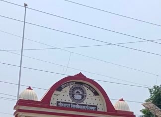 डीडीयू गोरखपुर विश्वविद्यालय के मैनेजमेंट विभाग के 141 छात्रों का समर इंटर्नशिप हेतु चयन