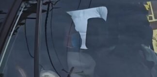 विराट कोहली ने टेस्ट क्रिकेट को कहा अलविदा, अनुष्का संग पहुंचे वृंदावन, प्रेमानंद महाराज से लिया आशीर्वाद