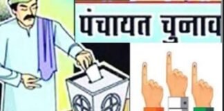 यूपी पंचायत चुनाव: 25 अगस्त तक घर-घर पहुंचेंगे बीएलओ, DM ने दिए निर्देश