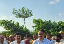 संतकबीरनगर में बूढ़ी राप्ती नदी पुनरुद्धार के कार्य का हुआ शुभारंभ, नदी को मिलेगा नया जीवन