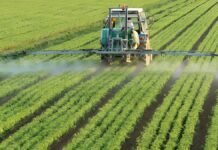 8385 पाठशालाएं , 92,000 मिनीकिट से खेती बनेगी स्मार्ट…’, सीएम योगी ने दिया किसानों को बड़ा तोहफा