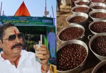 ‘चमचमाते टेंट, लाखों की मिठाइयां, 56 भोग…’, मतगणना के पहले ही बाहुबली अनंत सिंह के घर पर भव्य तैयारियां