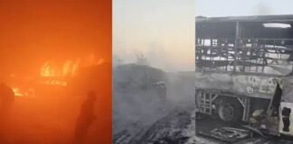 ‘मथुरा, उन्नाव,बस्ती और…’, यूपी में कोहरे का कहर, कई जिलों में सड़क हादसे, 10 से ज्यादा की मौत