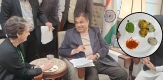 ‘भाई का काम किया, तो बहन का नहीं…’, प्रियंका गांधी से बोले नितिन गडकरी, फिर खिलाई ये मज़ेदार डिश
