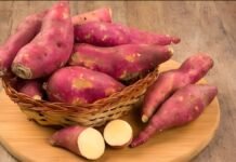 ‘इम्यूनिटी बूस्ट से लेकर वजन कंट्रोल तक…’, शकरकंद खाने से सेहत को मिलते हैं ये शानदार फायदे