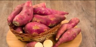 ‘इम्यूनिटी बूस्ट से लेकर वजन कंट्रोल तक…’, शकरकंद खाने से सेहत को मिलते हैं ये शानदार फायदे