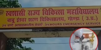 गोंडा मेडिकल कॉलेज में चूहों का आतंक! ऑर्थो वार्ड में मरीजों के बेड के पास दौड़ते दिखें चूहे, वीडियो वायरल