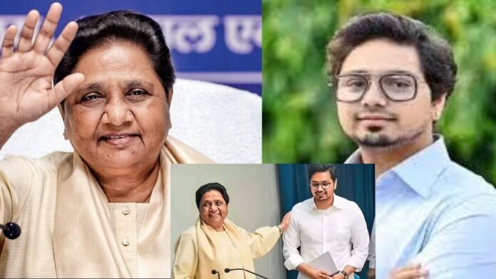 Untitled design (24)