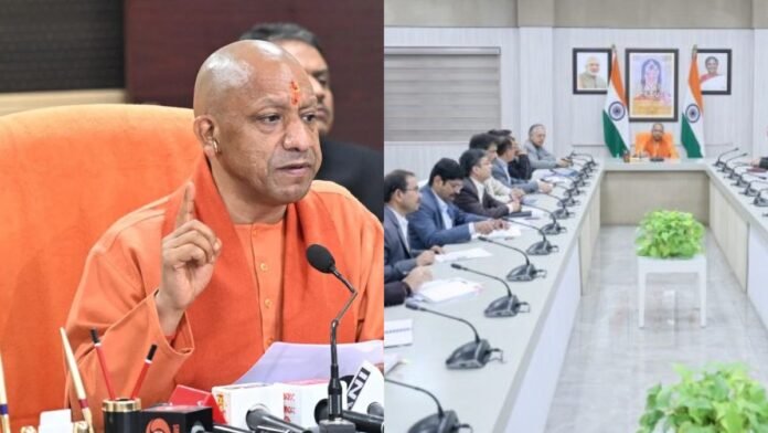 Untitled design (33)