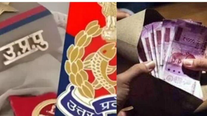 Untitled design (80)