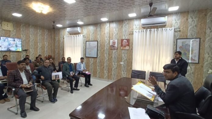 Untitled design (94)