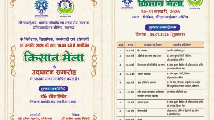 Untitled design (97)