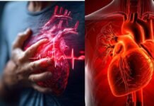 सहारनपुर में एसआईआर ड्यूटी के दौरान बीएलओ की हार्ट अटैक से मौत,घटना के बाद परिवार में शोक की लहर दौड़ गई