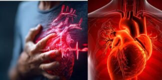 सहारनपुर में एसआईआर ड्यूटी के दौरान बीएलओ की हार्ट अटैक से मौत,घटना के बाद परिवार में शोक की लहर दौड़ गई