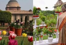राष्ट्रपति भवन का अमृत उद्यान आम जनता के आज से लिए खुला, द्रौपदी मुर्मु ने किया औपचारिक उद्घाटन