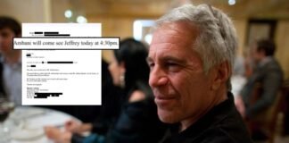 ‘इसका इंतजाम कर लो…’, जेफ्री एपस्टीन ने सजेस्ट की लंबी गोरी स्वीडिश लड़की, अंबानी ने तुरंत कर दी हां