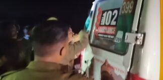 रायबरेली में गंगा एक्सप्रेस-वे पर दर्दनाक हादसा, कार ने 9 लड़कियों को रौंदा, 4 की मौत, 5 घायल