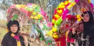 ‘माथे पर लाल तिलक, तन पर बुर्का, कंधे पर काँवड़…’, हरिद्वार से काँवड़ लेकर निकली तमन्ना मलिक, शिवभक्तों ने किया स्वागत