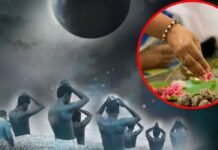फाल्गुन अमावस्या पर तर्पण-दान से मिलता है अक्षय पुण्य, पितृदोष दूर होकर परिवार में आती है सुख-शांति
