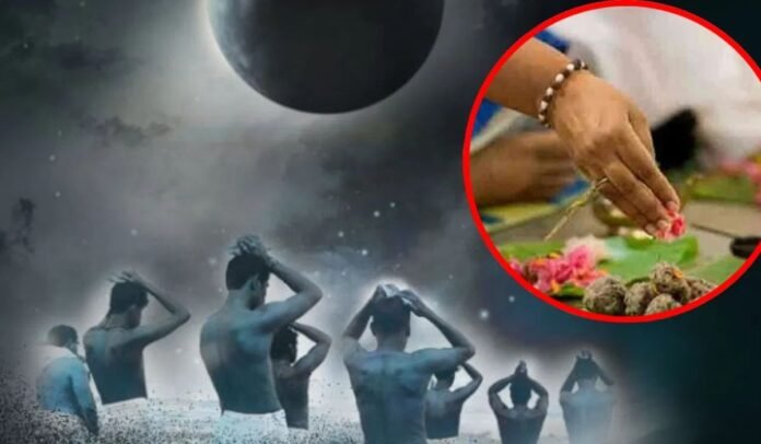 Untitled design - 2026-02-14T171938.116