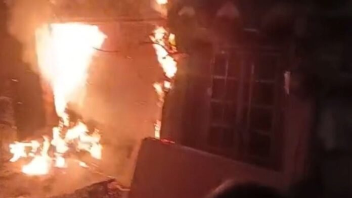 Untitled design - 2026-02-17T155636.746