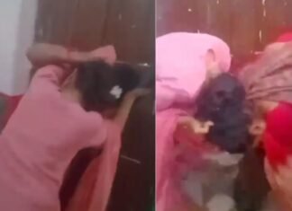 साहब देखते रहे और बीच दफ्तर में होता रहा ‘महा-संग्राम’! बलिया में दो महिला BLO के बीच मारपीट