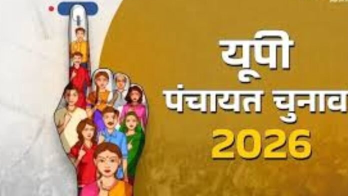 Untitled design - 2026-02-20T171729.883