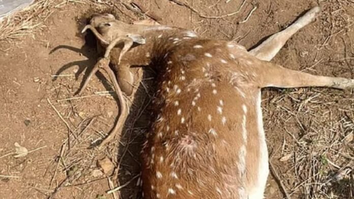 Untitled design - 2026-02-20T185452.888