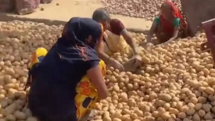 Untitled design - 2026-02-24T172159.903