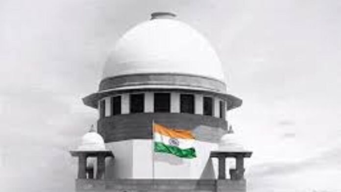 Untitled design - 2026-02-25T132353.061