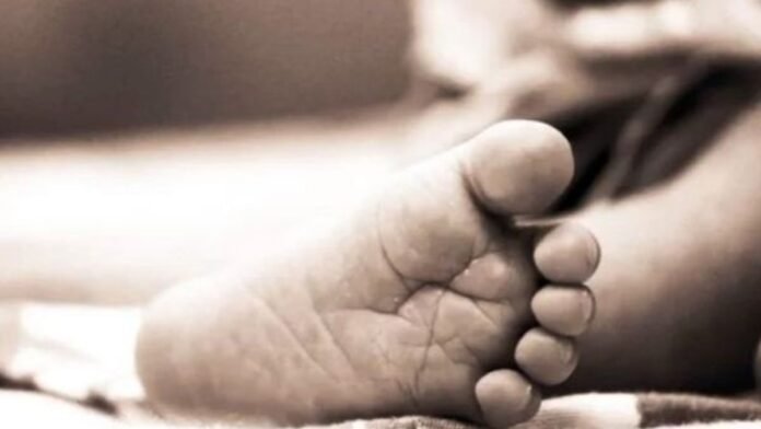 Untitled design - 2026-02-25T164801.866