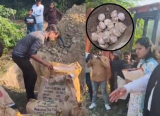 लखनऊ में मिलावटखोरों पर शिकंजा, 760 किलो नकली खोया समेत बड़ी खेप जब्त