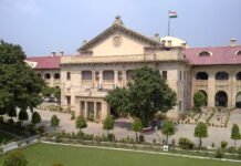 इलाहाबाद हाईकोर्ट ने पूछा- चाइनीज मांझे पर रोक को लेकर क्या कार्रवाई की गई