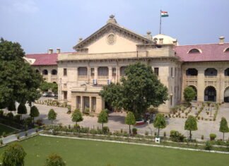 इलाहाबाद हाईकोर्ट ने पूछा- चाइनीज मांझे पर रोक को लेकर क्या कार्रवाई की गई