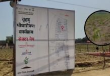 UP: चीन का रिकॉर्ड ध्वस्त कर काशी ने रचा नया विश्व रिकॉर्ड, एक घंटे में रोपे गए 2,51,446 पौधे