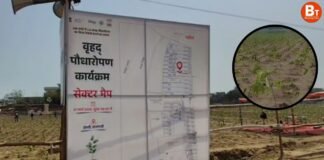 UP: चीन का रिकॉर्ड ध्वस्त कर काशी ने रचा नया विश्व रिकॉर्ड, एक घंटे में रोपे गए 2,51,446 पौधे