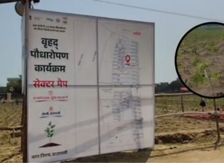 UP: चीन का रिकॉर्ड ध्वस्त कर काशी ने रचा नया विश्व रिकॉर्ड, एक घंटे में रोपे गए 2,51,446 पौधे