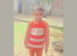 गोण्डा: प्रसाद लेकर लौट रही मासूम पर कुत्तों ने किया हमला, गंभीर स्थिति में अस्पताल में भर्ती